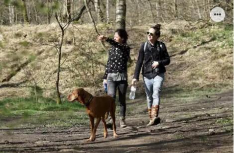 Willa Park Konijnenburg Putten Zewnętrze zdjęcie